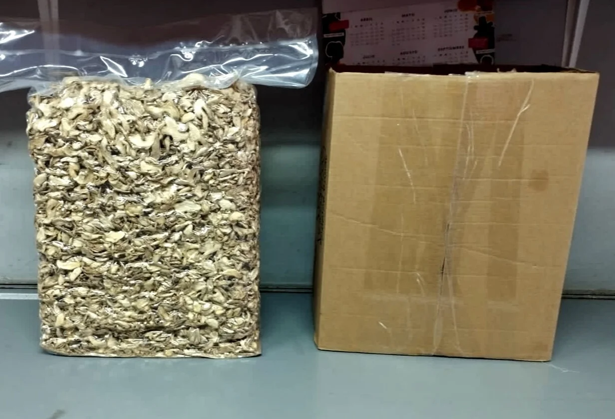 PERU EXPORTER MACHINE DRIED GINGER SLICES SALE