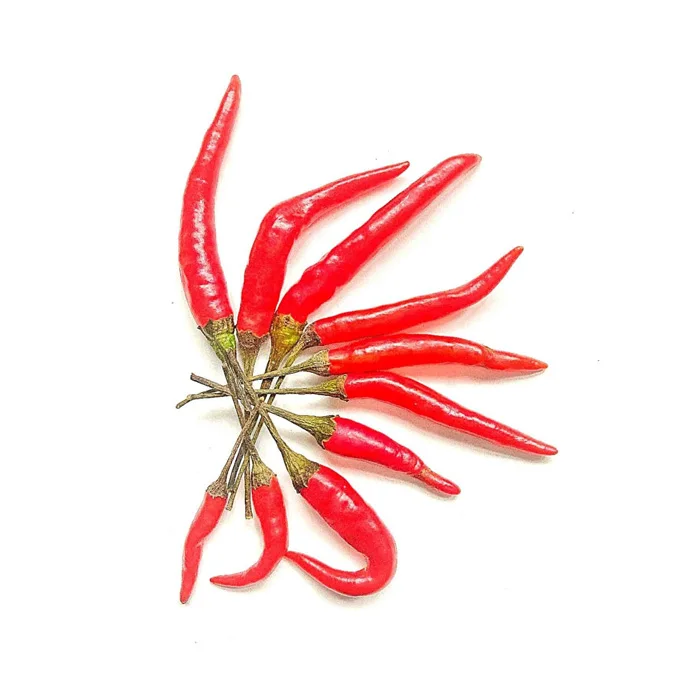 Hot Selling Price Of Red Dried Chili Pepper in Bulk