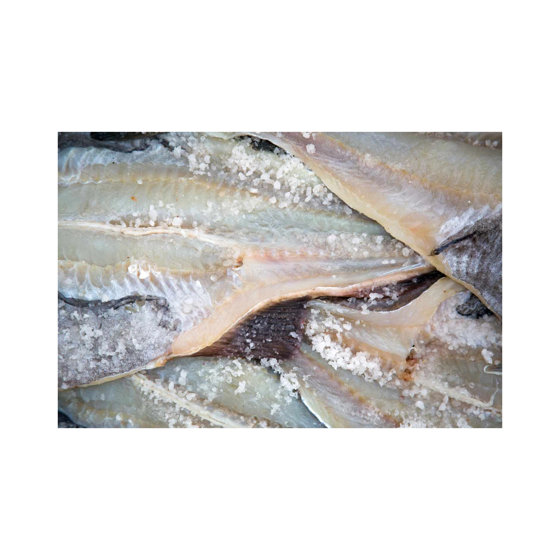 Dry Salted Cod Fish Fillet