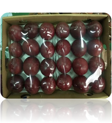 Wholesale Wonderland and Stock Up & Save Fresh Passion fruit tropical fruit from Viet Nam for importer (+84983028718)
