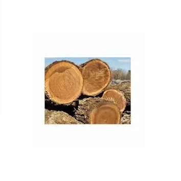 100% Pure Timber Logs Teak Wood / Oak Wood Logs / Pine Wood Logs Good Quality Best Selling