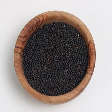 best price of canola seed /rapeseed Bulk