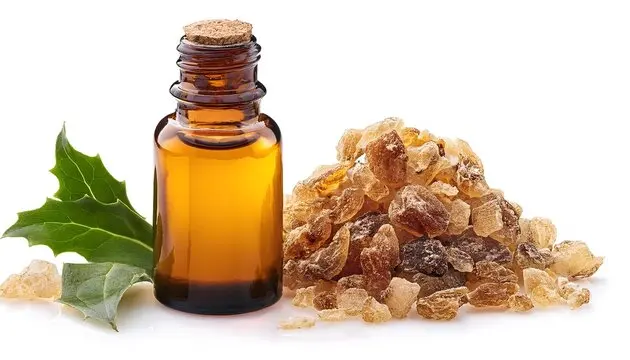 100% Natural Galbanum Essential Oil Cosmetic Grade Available in 25kgs & 180kgs Packaging
