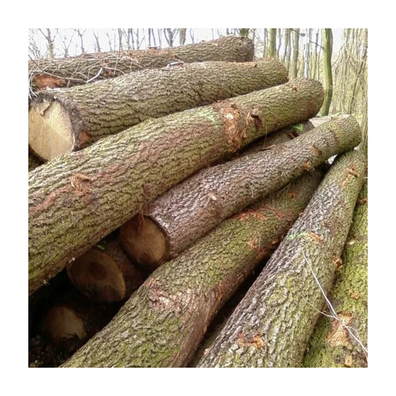 Оптовые европейские круглые бревна лиственных пород по дешевой цене