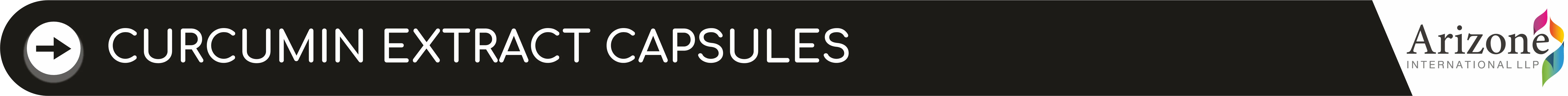 CURCUMIN EXTRACT CAPSULES.png