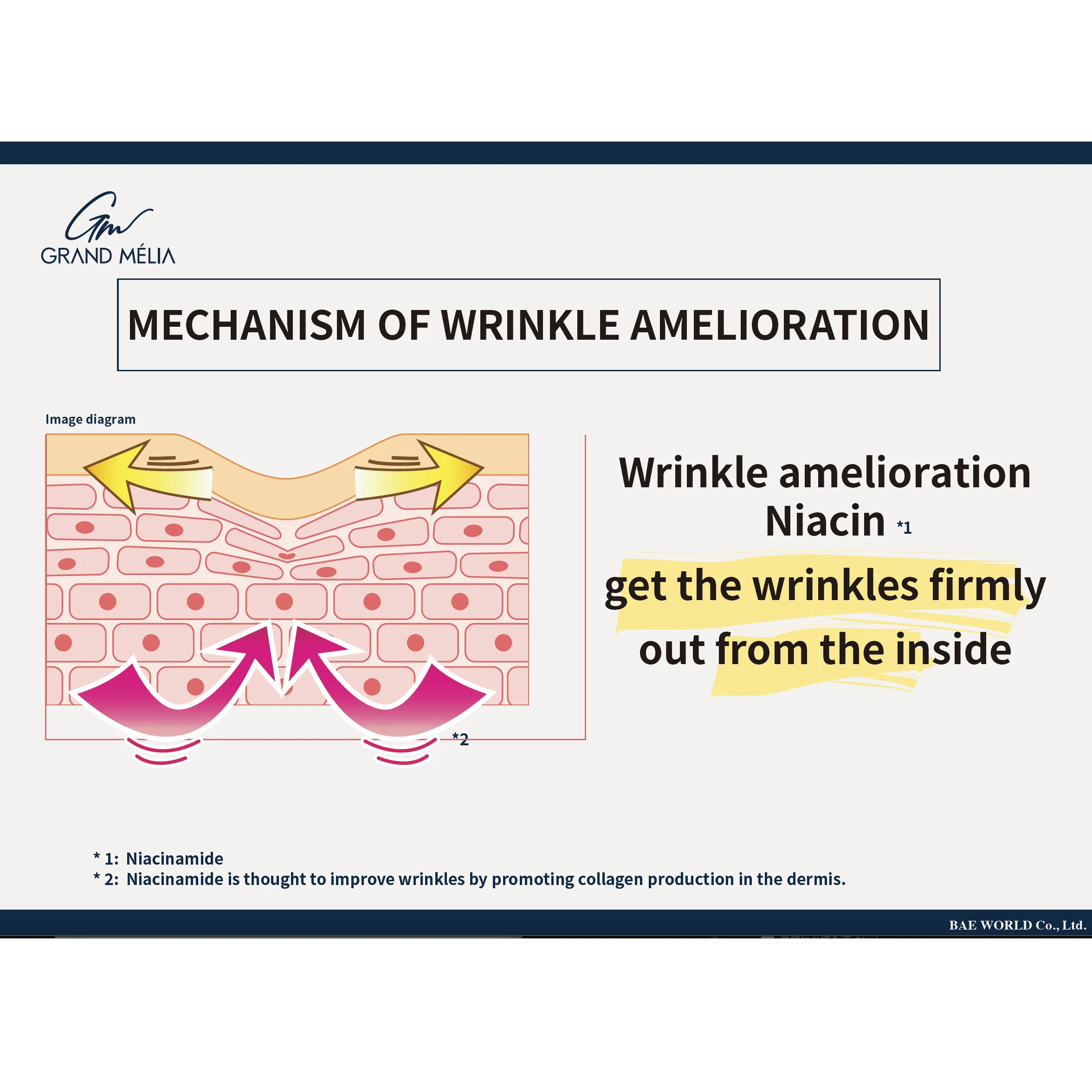 Grand Melia Whitening Anti-Wrinkle Gel 30g Japanese Wrinkle Improvement skin firmness with Aloe extract