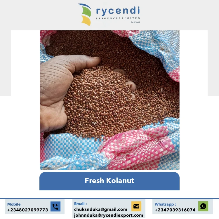 Nigerian Origin Manufacturer Exporting Premium Grade Healthy Natural Taste Alligator Pepper Seed Available at Best Market Price