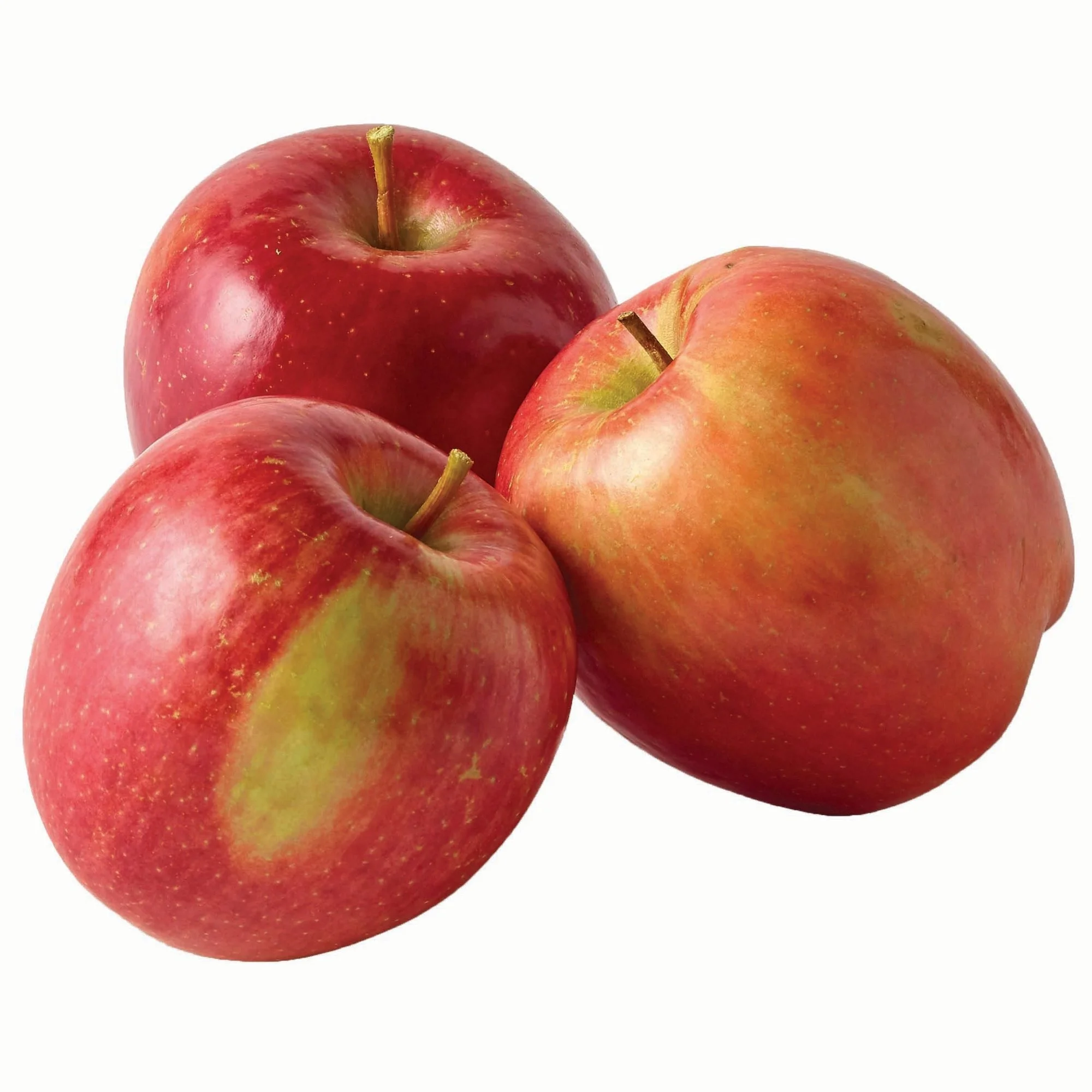 Wholesale Fresh Red Fuji Apple