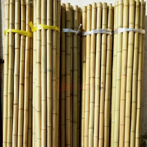 Поставщик необработанные бамбуковые столбы 100% натуральные от вьетнамского поставщика по низкой цене