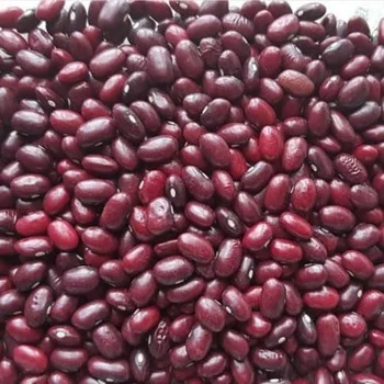 Kidney beans, Black, Red White kidney beans available