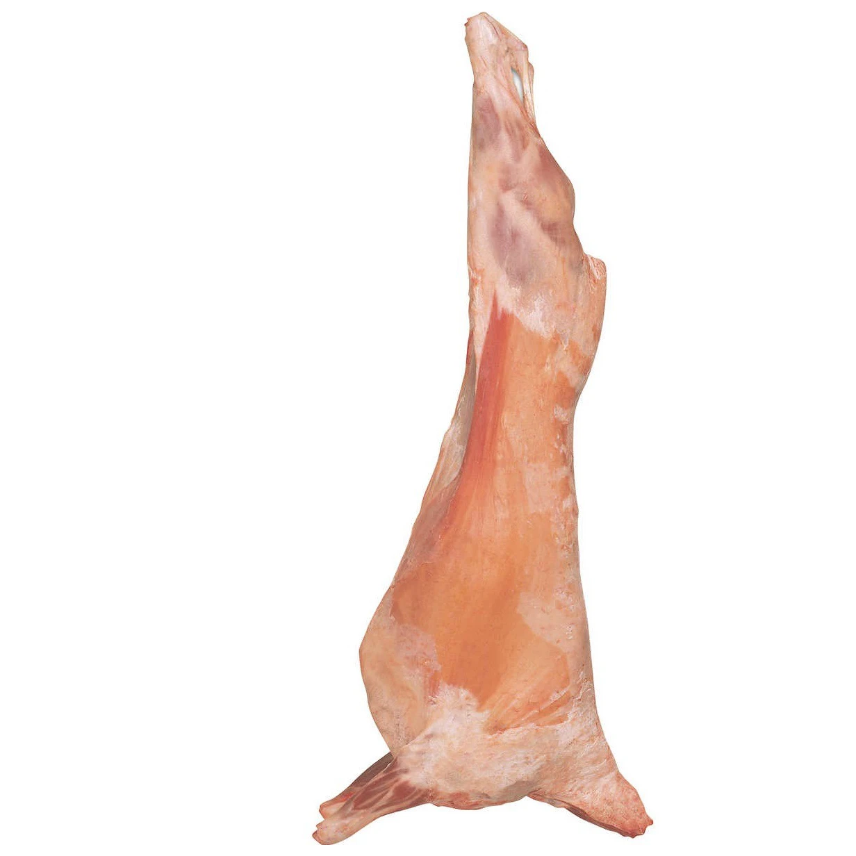 WHOLE BODY HALAL FRESH / FROZEN Sheep meat LAMB / SHEEP MEAT / CARCASS OR SALE delicious and delicious