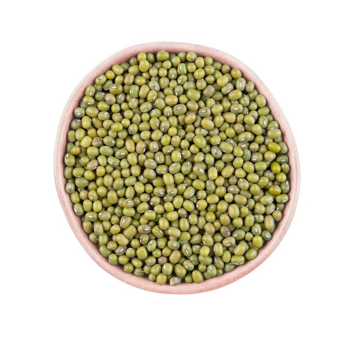 Wholesale dried green bean premium quality food grade bulk natural new crop Mung Beans high quality Mung Beans for sale