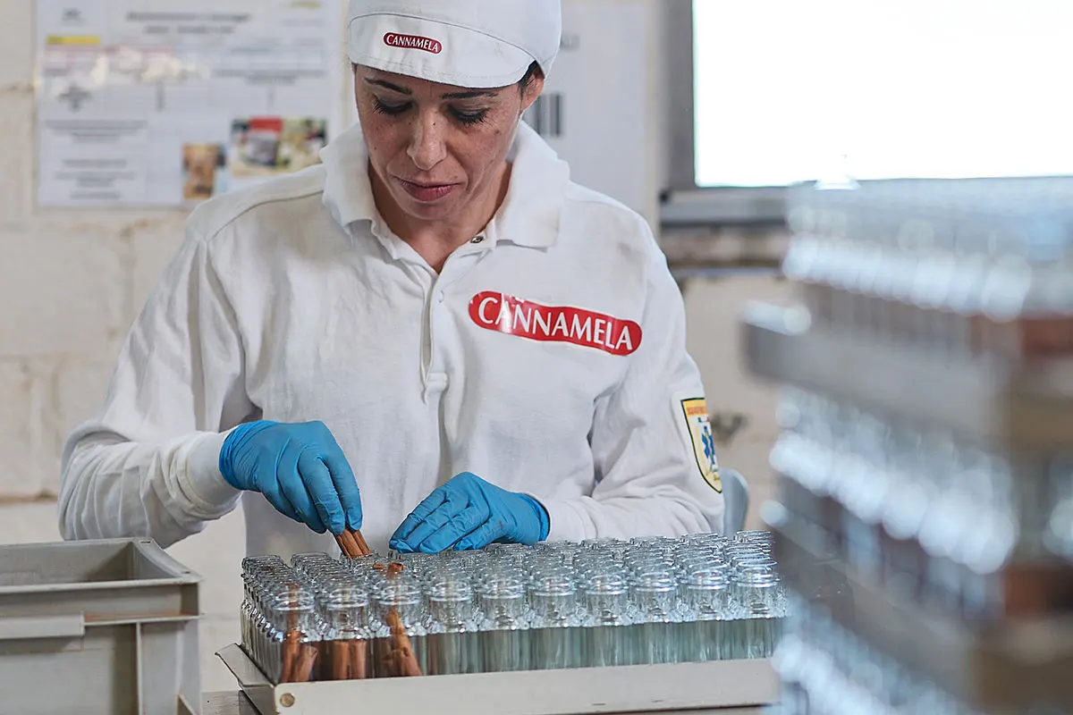 Высшее качество Сделано в Италии ароматические травы Aniseed Cannamela для приправ 1 банка 22 г