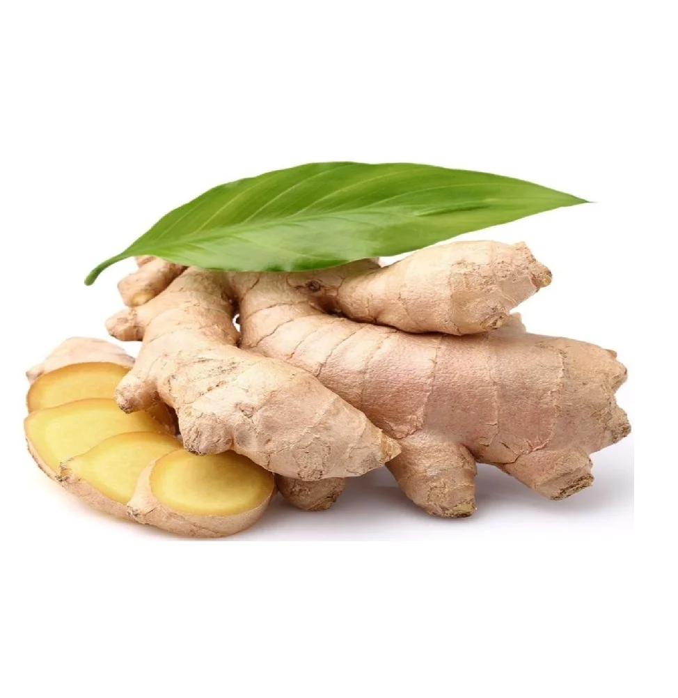 Good Samples Available Competitive Price Low Shipping Fee New Fresh Ginger With Good Quality From Factory