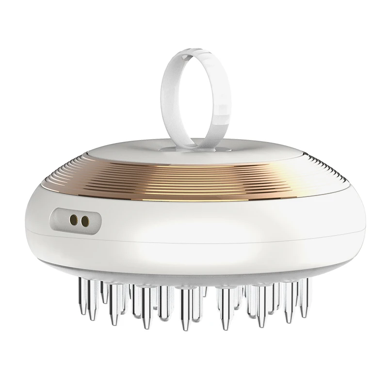 Portable Hair Care Instrument EMS Scalp Massage Anti Hair Loss Tool Electric Hair Growth Massage Comb