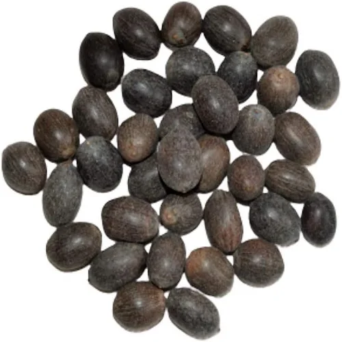 Factory Price Bulk Selling Common Cultivation Type Jatropha Seed Oil for Cooking