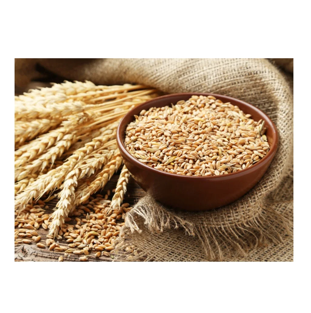 Wholesale Price Natural Soft Wheat Grains Bulk Stock Available For Sale