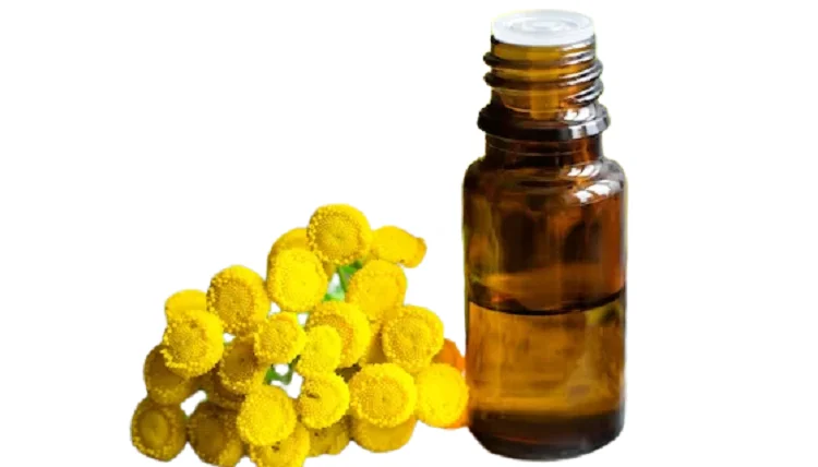 Blue Tansy Essential Oil.png