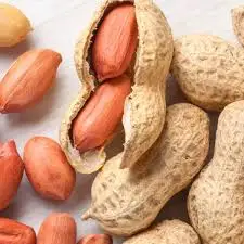 HOT SALE- BEST QUALITY PEANUTS