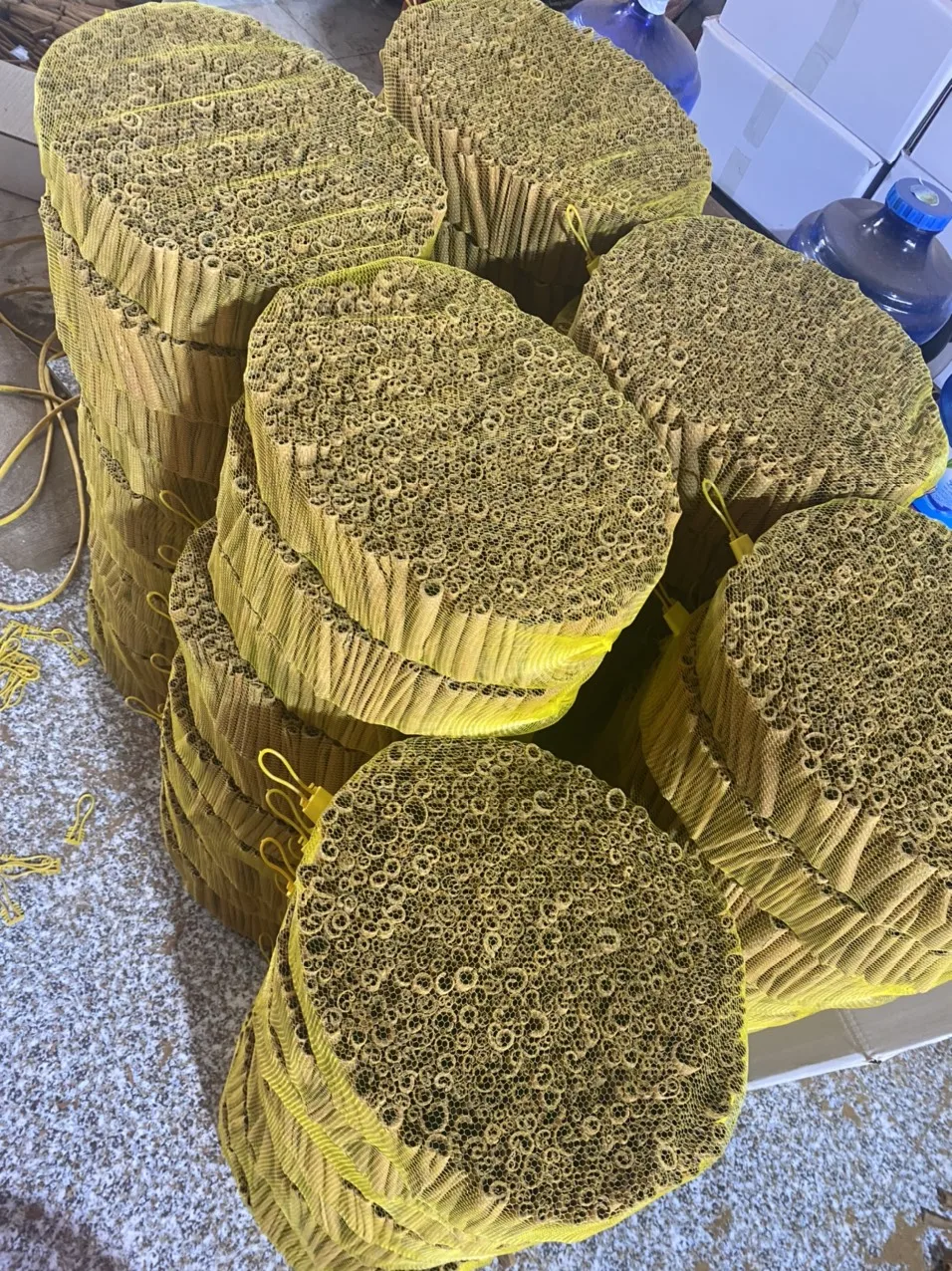 Lauraceae /Cinnamon Danish / Sai Gon Cinnamon/ Ecorce de Cassia Cinnamon