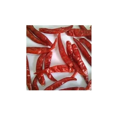 Highest Quality Teja Stemless Dried Red Chilli Use for Cooking Spices Available at Affordable Price from Indian Exporter