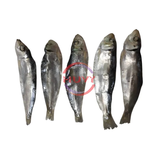 Wholesale Indian Mackerel Nature Fast Delivery Herring Fish Dry Herring Sea Food Factory Price OEM Service Made In Vietnam