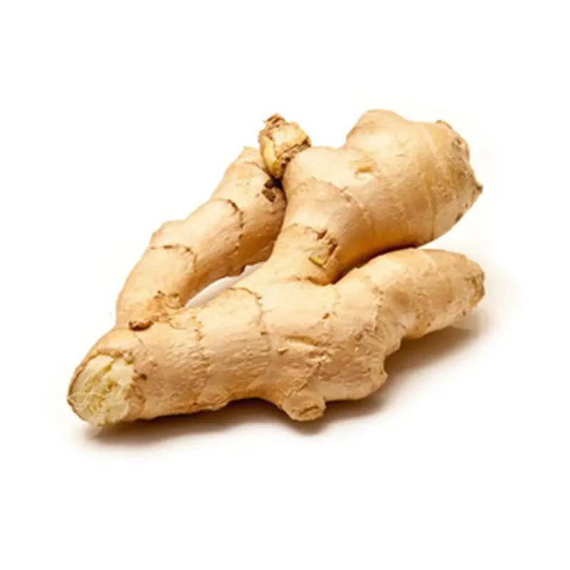 Indian Exporter of Dry Ginger Single Spices & Herbs at Wholesale Price