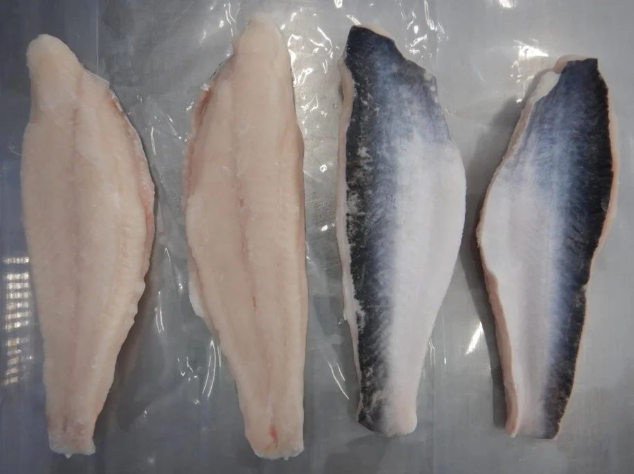 EU Standard Fresh & Frozen Basa Fish Fillets IQF Bulk 10kg packing in Vietnam Wholesale Fillets direct sales from factory supply