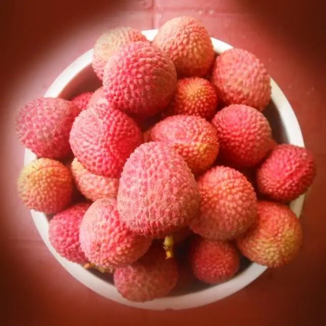 BEST FRUIT IN VIETNAM LYCHEE, GLOBAL GAP CERTIFICATE