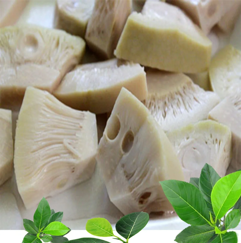 Summer Fruit Fresh Young Jackfruit Green Jackfruit Unripe Jackfruits High Standard Made From Vietnam