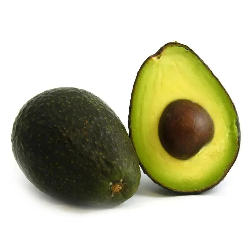 Yummy Organic and Thick Hass Avocado for Wholesale Hass Avocado With Best Express Delivery (11000008711381)