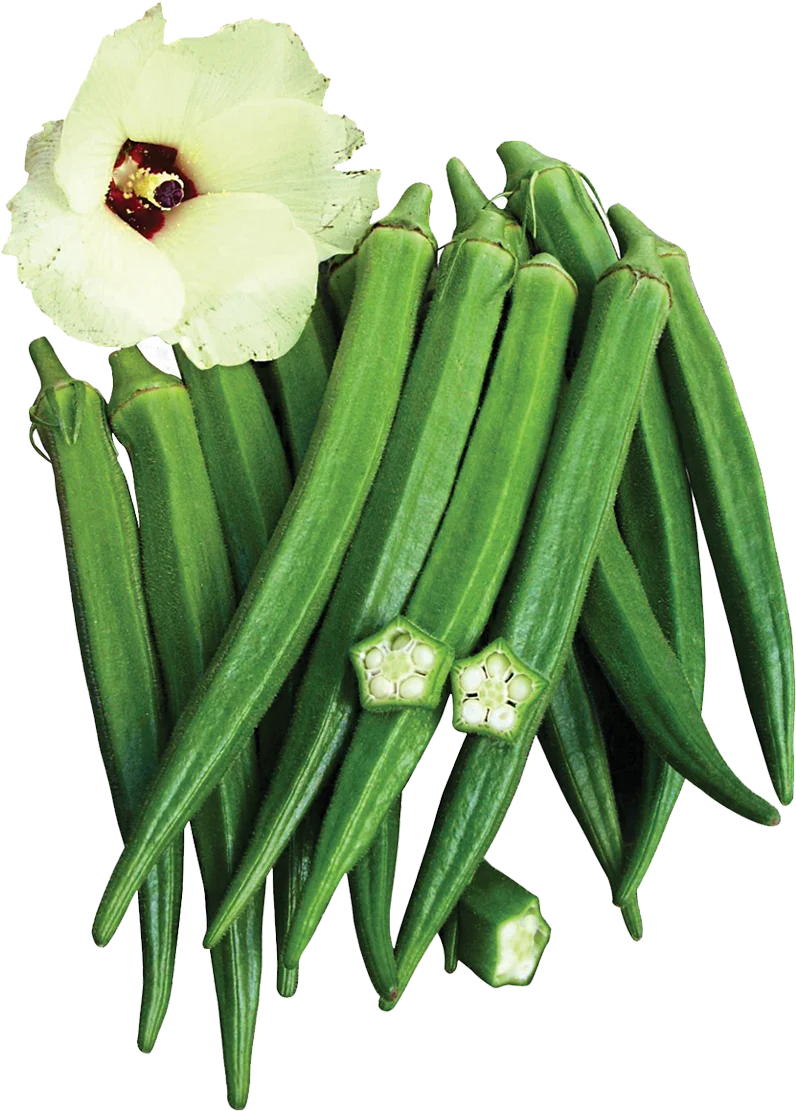 100% свежие овощи Okra дамские пальчиковые Органические родные продукты okra из