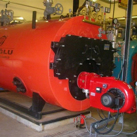 High Pressure Steam Boiler 10 TON Steam Generator EROGLU High quality Industrial Customized Key Building Horizontal Best Price