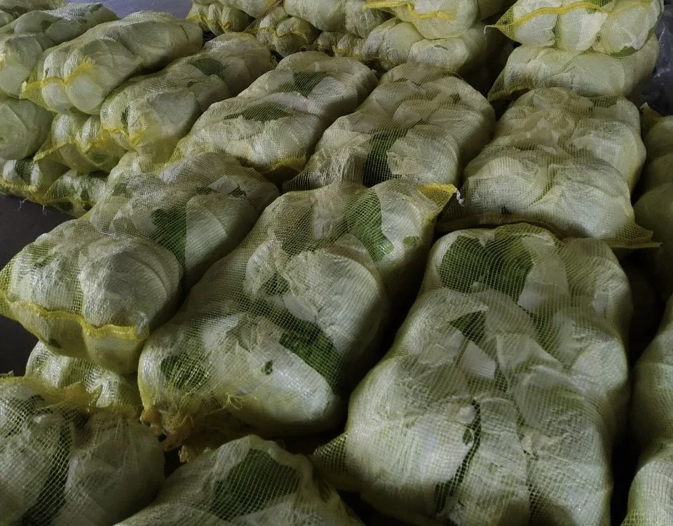 2023 New Crop Fresh Cabbage High Quality, Cheap Price supplying to Singapore, Malaysia, Korea, UAE
