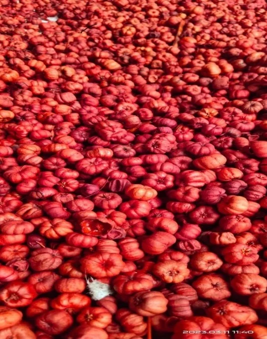 Putka pods Mini pumpkin potpourri natural  Dry  Decoration Party Wedding  Decorative Pcs Color Plants Material Original