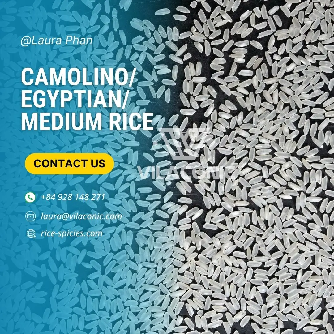 Egyptian Camolino Rice Medium Grains Vietnam - Ms. Laura +84928148271