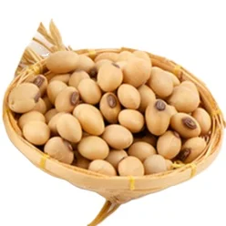 Agriculture Best Price Soya Beans/Soybean for Human Consumption With Certified Quality From Canada Origin