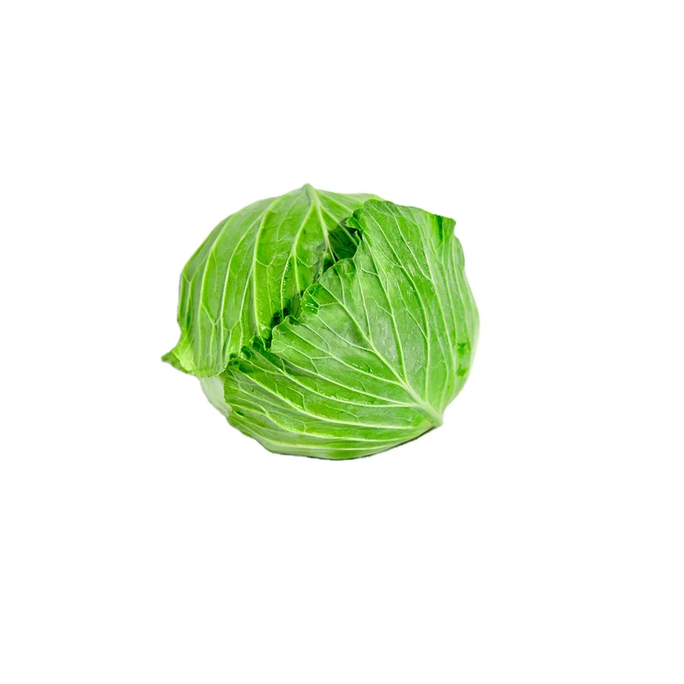 Fresh Vegetables Fresh Cabagle and Tomato  From Wholesale Green Farmer In Vietnam High Quality Nutrition Food