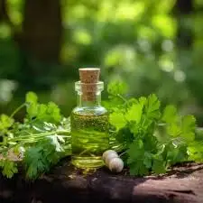 Cosmetic Grade Factory Wholesale Oil Parsley Seed Oil