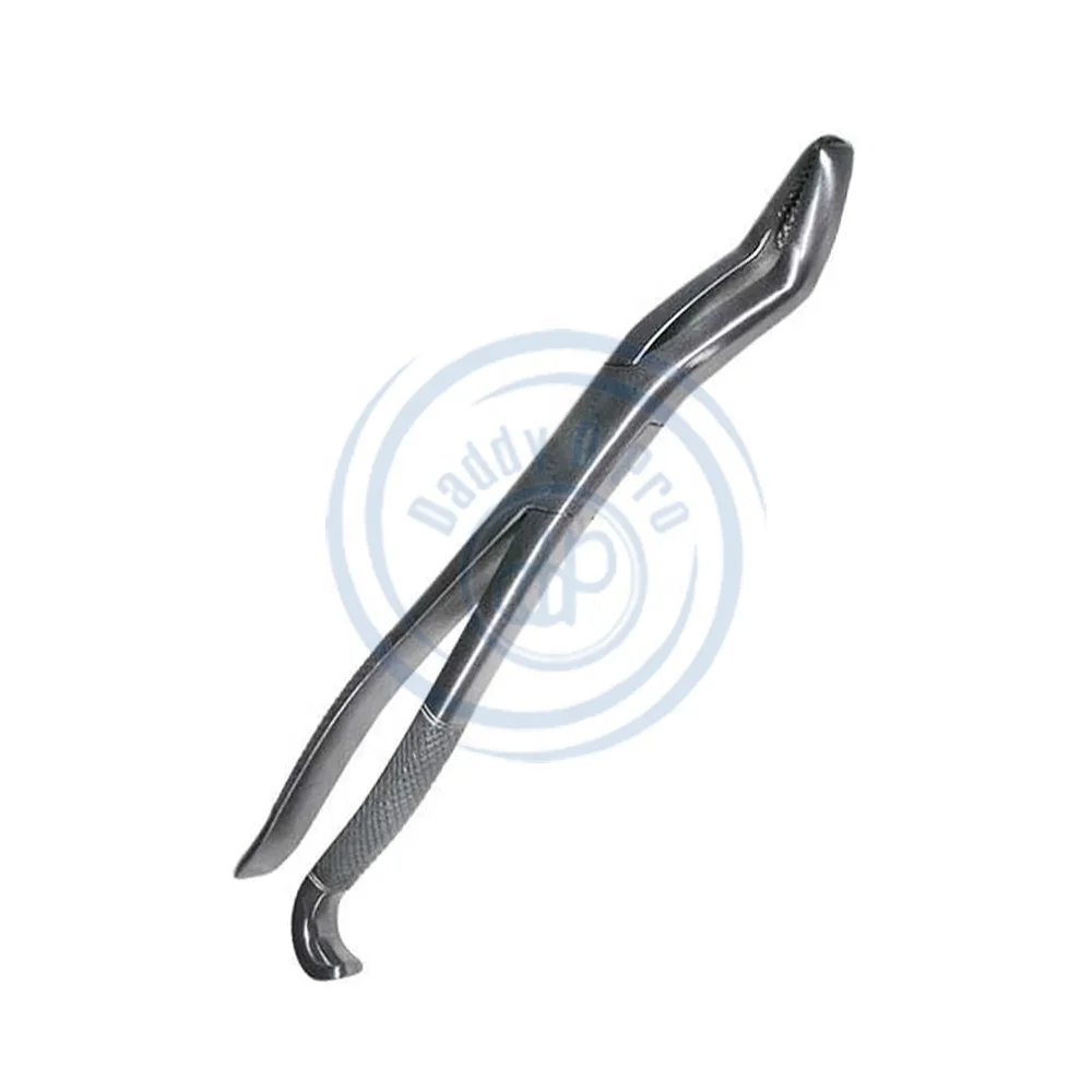 Veterinary Wolf Tooth Extraction Forceps Hand Crafted Stainless Steel Dental Equine High Quality Instruments Reusable Class I