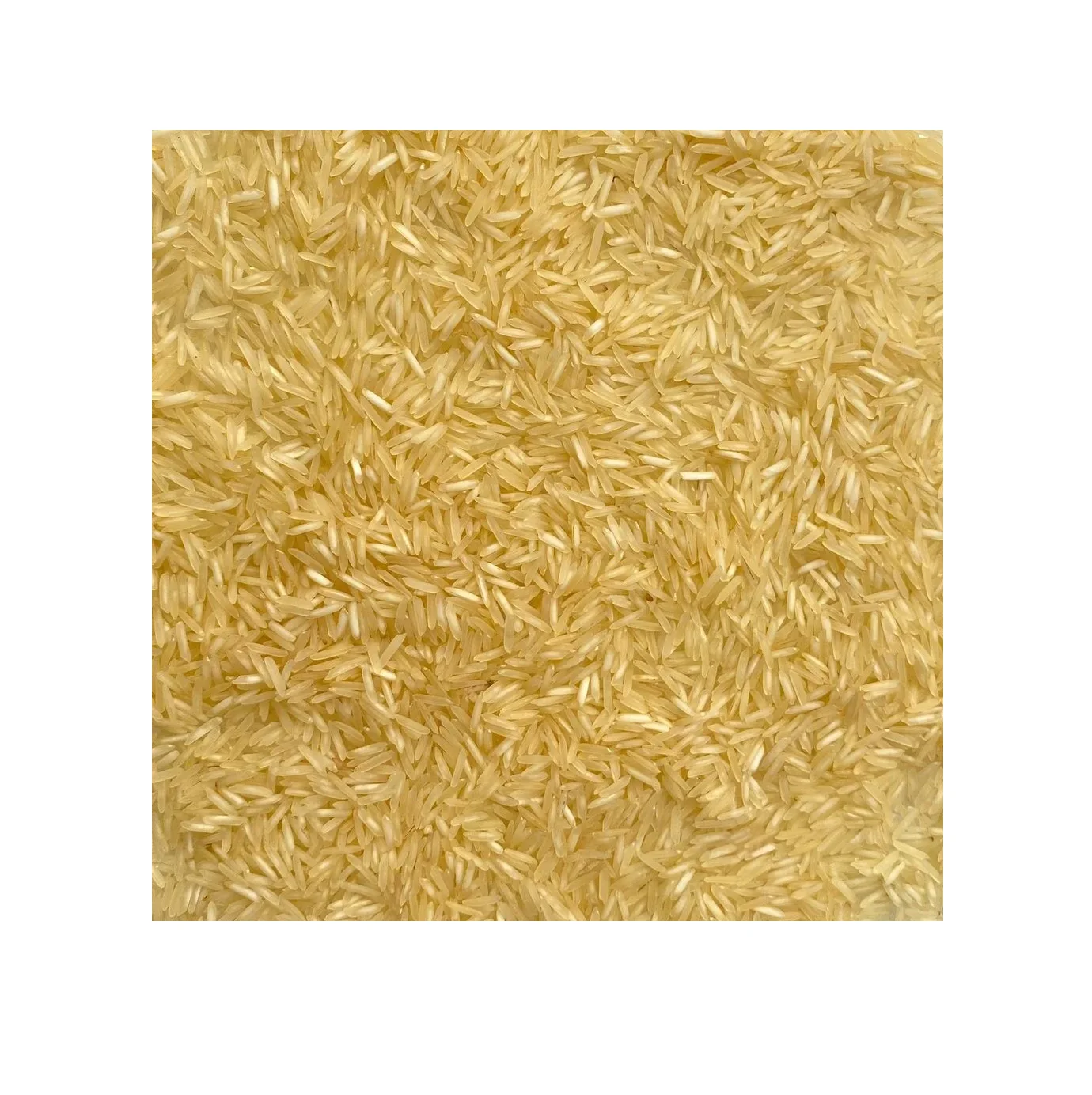 Wholesale Long Grain Golden Sella Basmati Rice for Biryani Sella Rice Available at Bulk Quantity from India