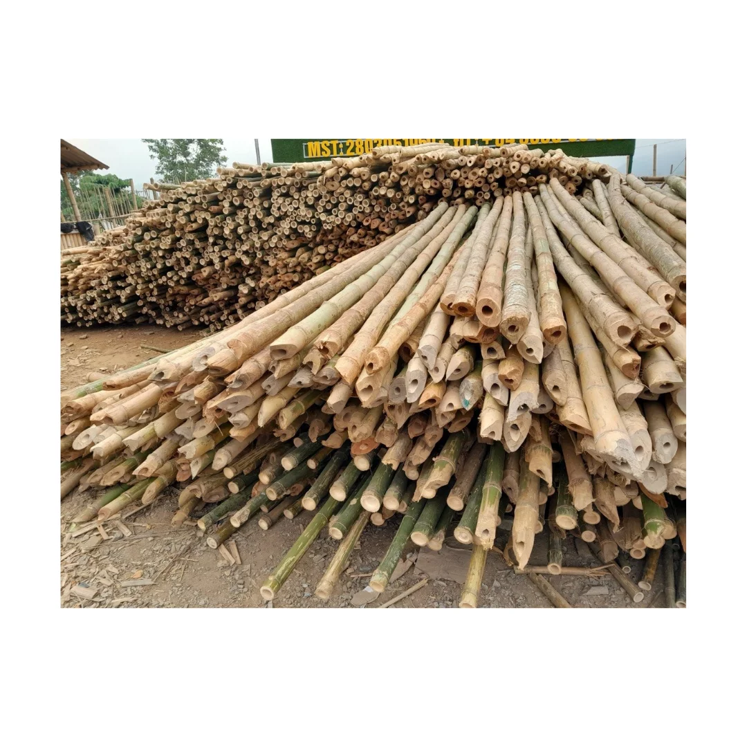 Cost-effective Custom Size Pure Natural Dry Bamboo Pole for Construction From Supplier Vietnam With Competitive Price