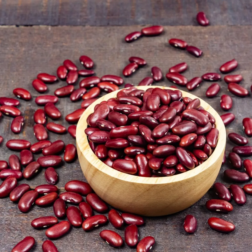 Premium Bulk Natural Dried Red Beans for Wholesale Sale Providing High Grade Red Beans at Best Market Prices Globally