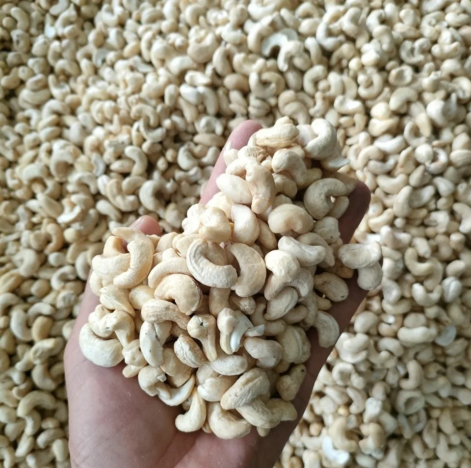 KAJU- High Quality Vietnam Raw Cashew Nuts WW240/WW320 - ANNA DO WA: +84982153058