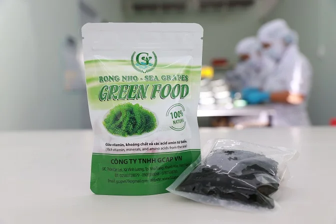 Sea Grapes for sushi sashimi No additives, preservatives or hidden sugars and no cooking required 100 Grams GCAP VN