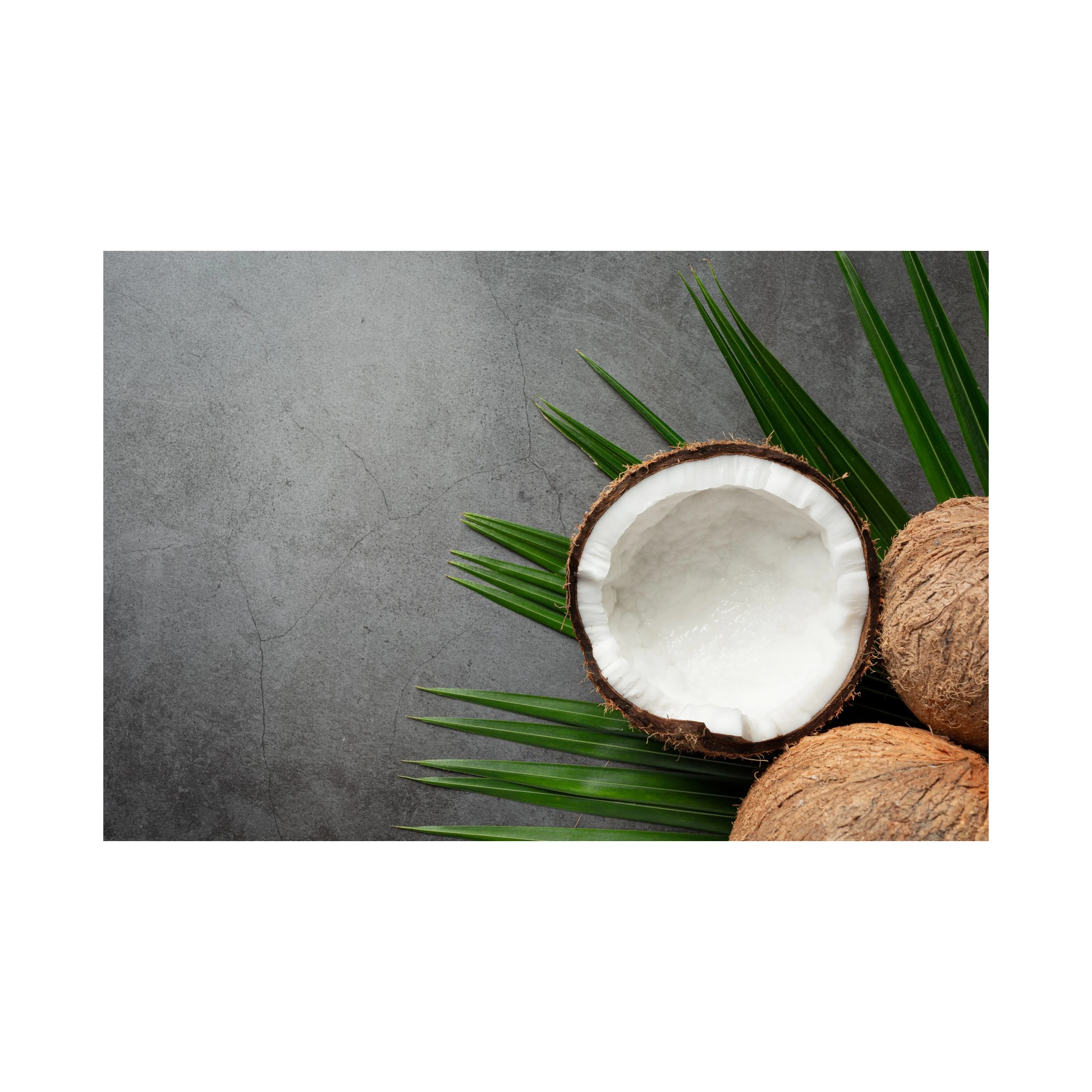 Pure Organic full and semi husked Coconut/Fresh Tender Coconut OEM supply and ready for market High Quality 4 Weeks Use Fresh Se