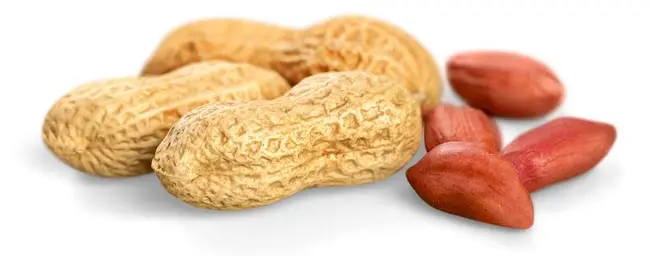 Замороженный Кошерный контейнер Iqf упаковка для хранения пищевых продуктов CIF полка оригинальный тип FOB сертификат цена на весь срок службы