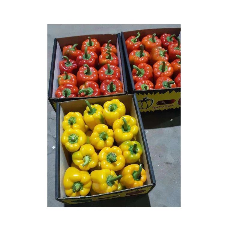 Best Buy Wholesale Quantity Supply Premium Grade 100% Natural Fresh Vegetables Capsicum /Colored Peppers