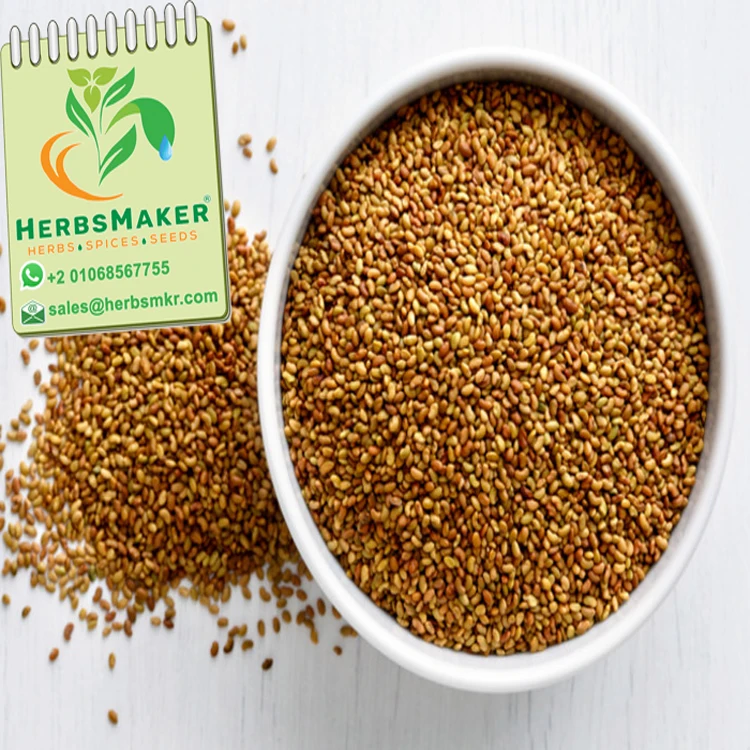 (CLOVER SEEDS) NEW CROP HIGH QUALITY EGYPTIAN SORTEX CONVENTIONAL AND ORGANIC VERY COMPETITIVE PRICE