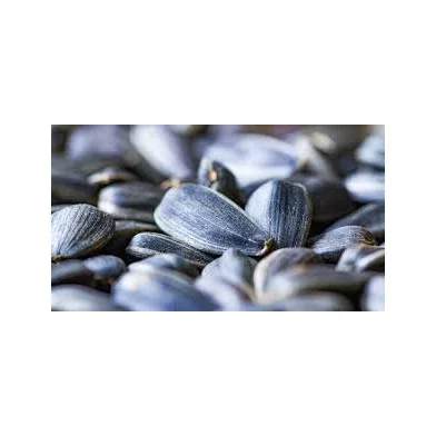 Hight quality organic sunflower seeds original flavor roasted kernels for edible Top quality sunflower seeds 361 sunflower